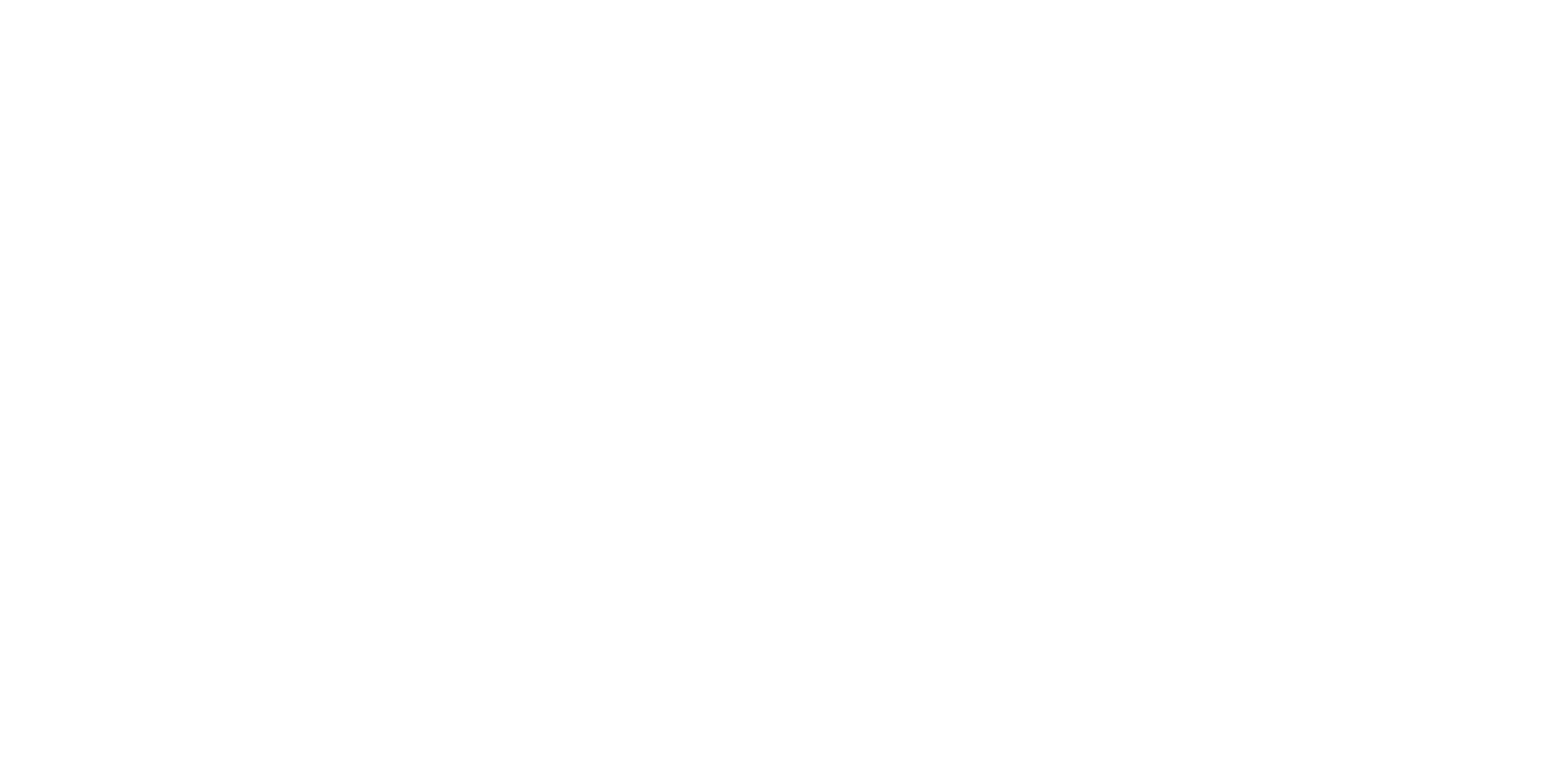 Bulwark: Falconeer Chronicles logo
